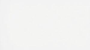 minimalism versus cozy intentionality